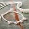 White Nylon Cord Assortment by Bead Landing™